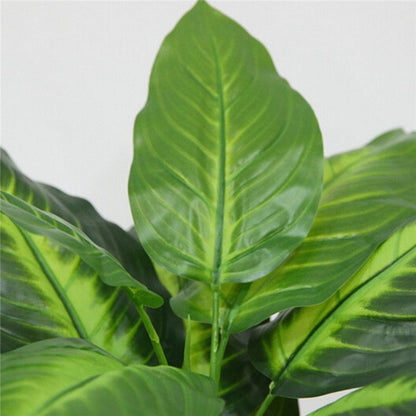 Simulation plant Dieffenbachia